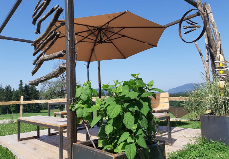 Tiere, Haus und Hof | Nahturhof Krumbach